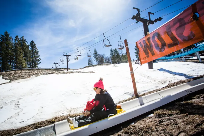 Sledding California