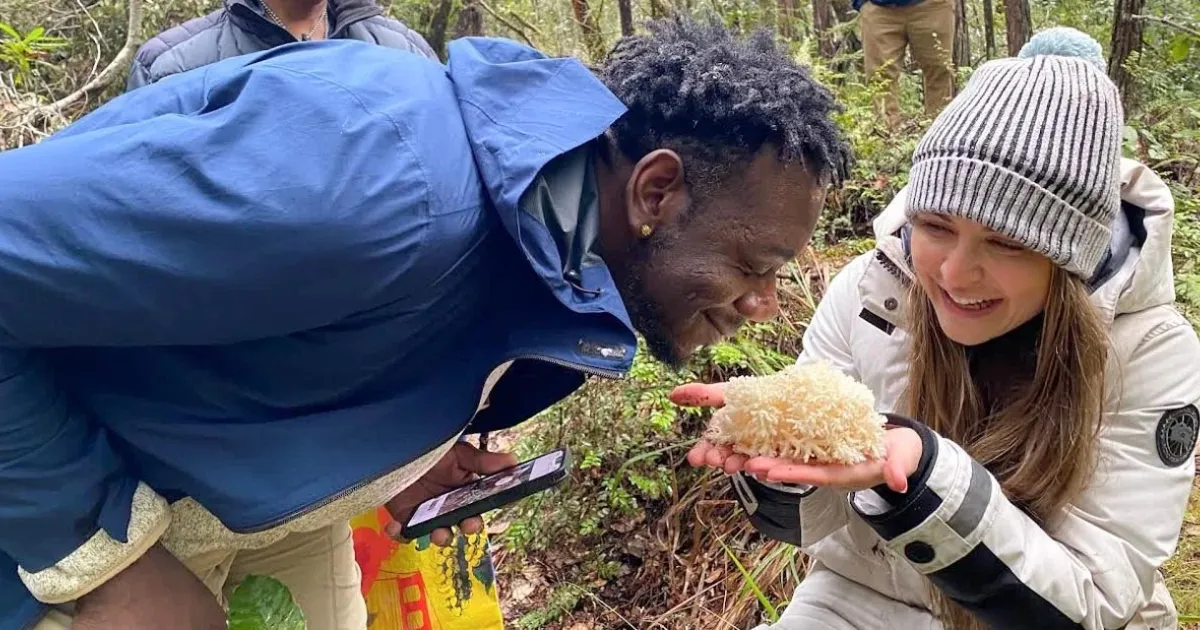 Responsible Guide to Foraging in California | Visit California