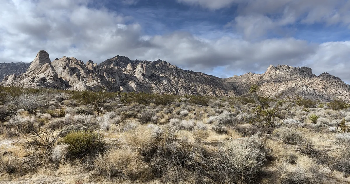 Mojave national preserve hiking best sale