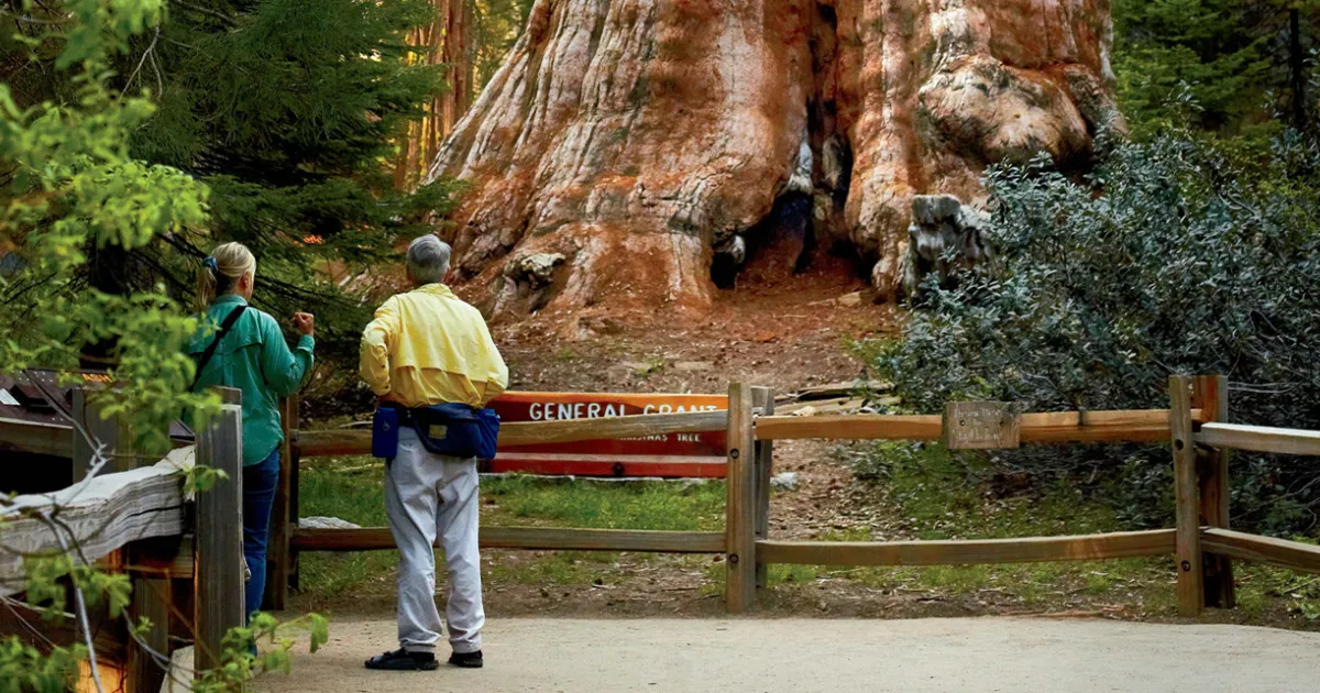 General sherman tree hike clearance