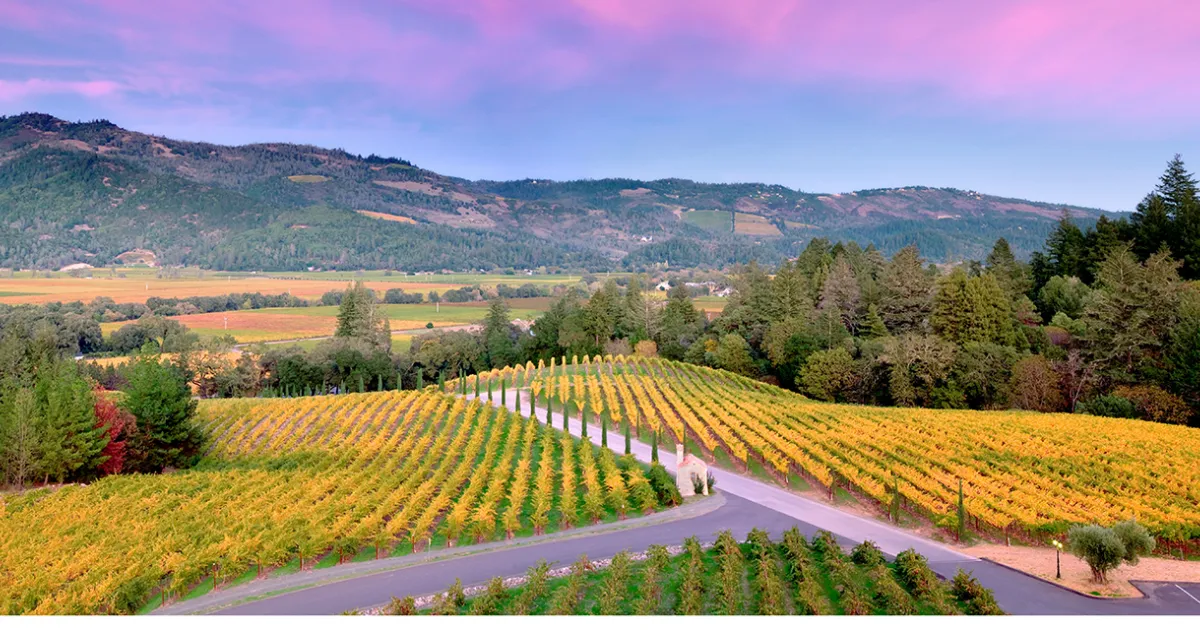 Napa Valley Wine Country