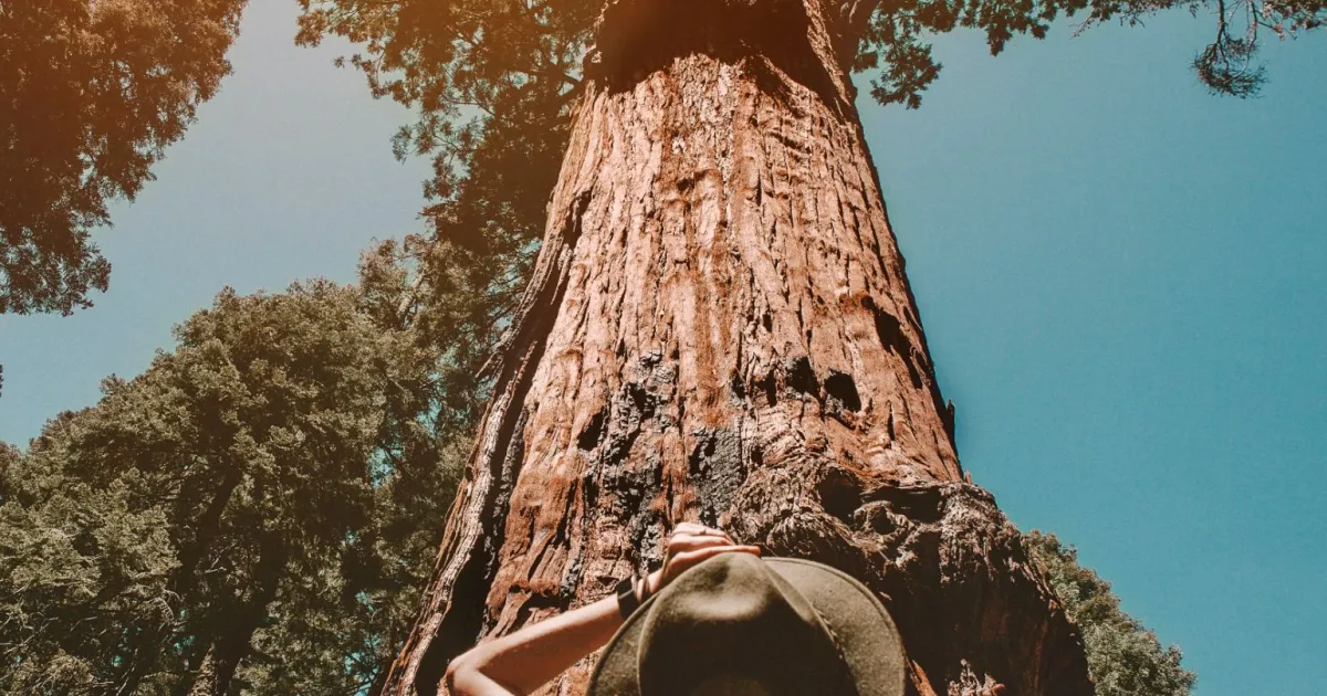 大自然の神秘 | Visit California