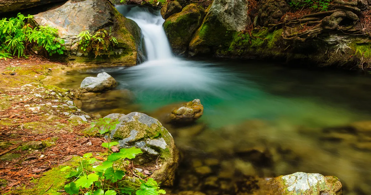 ライムキルン州立公園 | Visit California