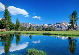 Tuolumne Meadows